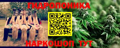 индика Ликино-Дулёво