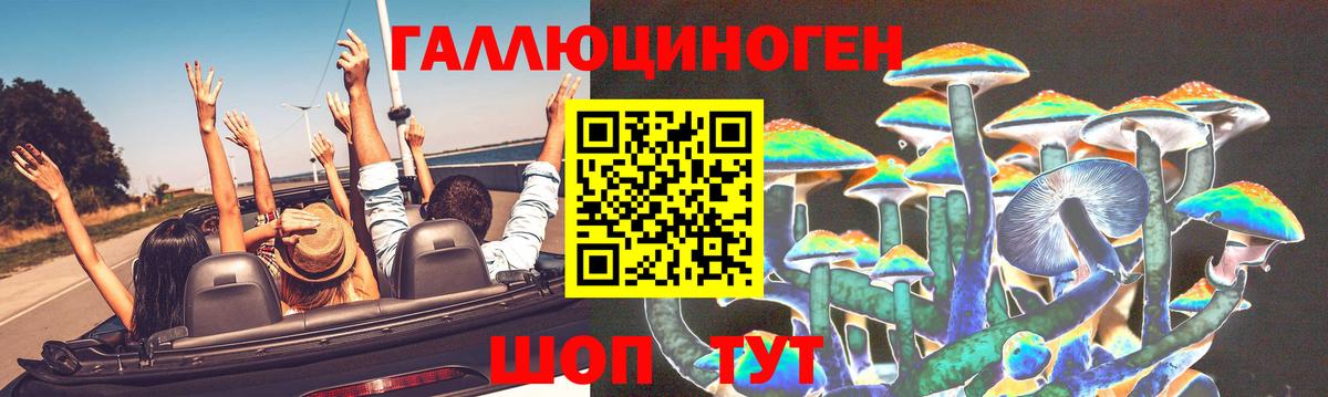 Казань  где купить   Вход с VPN  Псилоцибиновые грибы MAGIC MUSHROOMS 